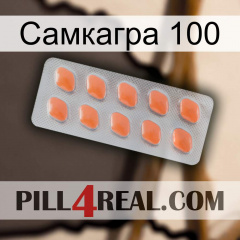 Самкагра 100 26